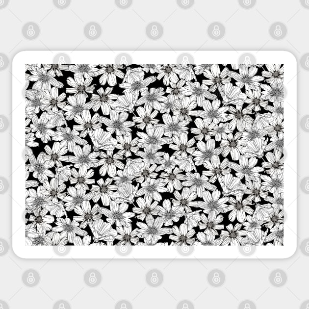 White Cosmos flowers on black Sticker by Artbyruthandco